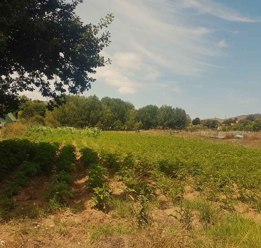 Commercial Property for Sale in Haarlem Western Cape